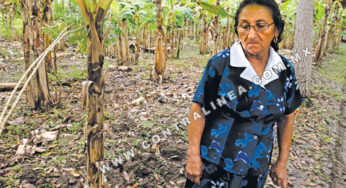 Campo mexicano, desamparado ante contingencias