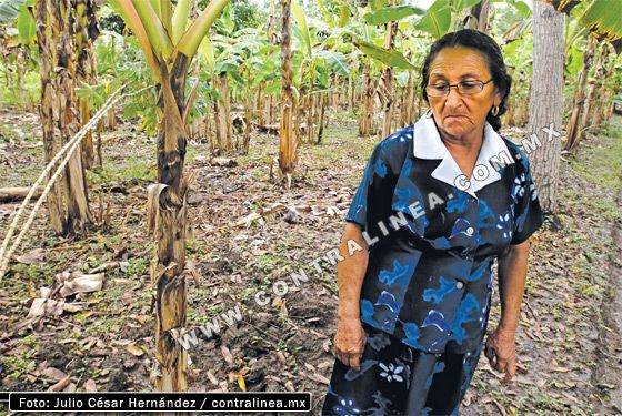 Campo mexicano, desamparado ante contingencias