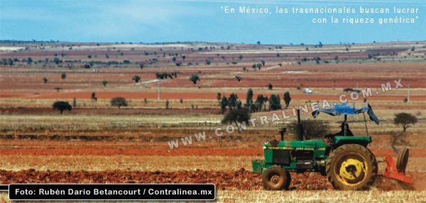 Sagarpa garantizará alimentos con transgénicos