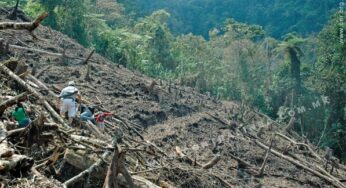 Mineras devastan reserva de la biósfera de América Central