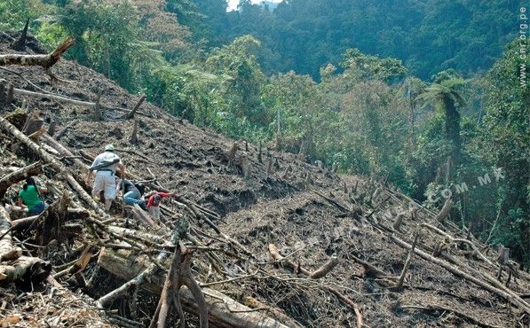 Mineras devastan reserva de la biósfera de América Central