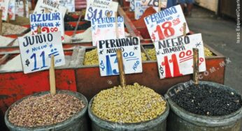 Trasnacionales, dueñas de los alimentos “mexicanos”