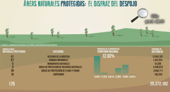 Infografía: Áreas Naturales Protegidas, el disfraz del despojo