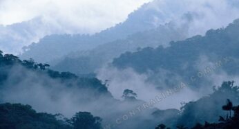 Gobierno privatizará el oxígeno de la Selva Lacandona