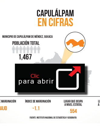 Infografía: Capulálpam en cifras