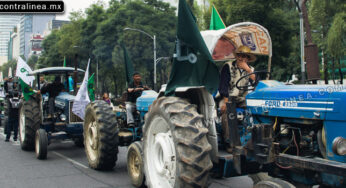 El México agrario en el asfalto del Distrito Federal