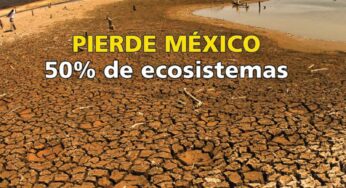 México: a la ruina ecológica