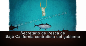 Supuesto conflicto de interés en Secretaría de Pesca de Baja California