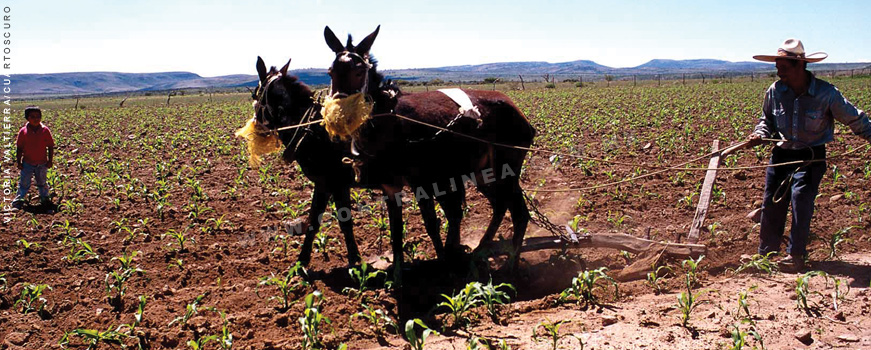 agro-nacional-wp