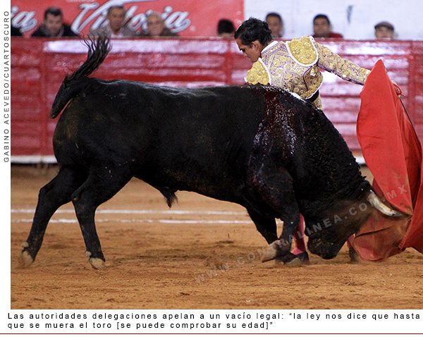 autoridades-delegacionales-600