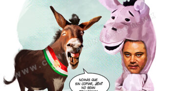 Par de burros