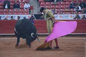 Las corridas de toros fueron suspendidas, de manera provisional, por la jueza quinta del Distrito en Materia Administrativa, Sandra Zúñiga