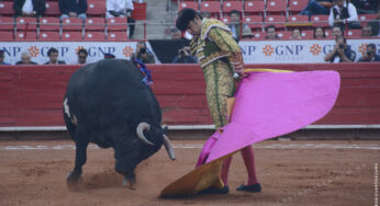 En CDMX suspenden provisionalmente las corridas de toros