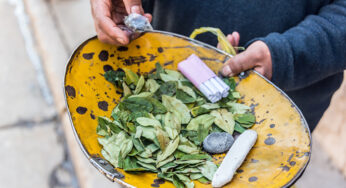 Nueva ley de la coca abre intenso debate en Bolivia