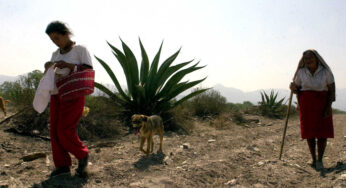 Los recursos de la Cdi y la pobreza de los pueblos indígenas de México