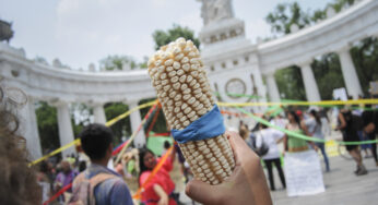 Monsanto vulnera derechos humanos: Tribunal Internacional