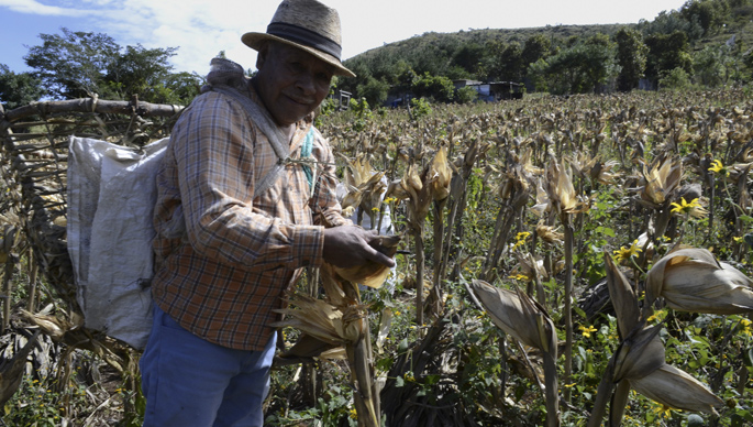 Jornaleros mexicanos, explotados como en el siglo XIX