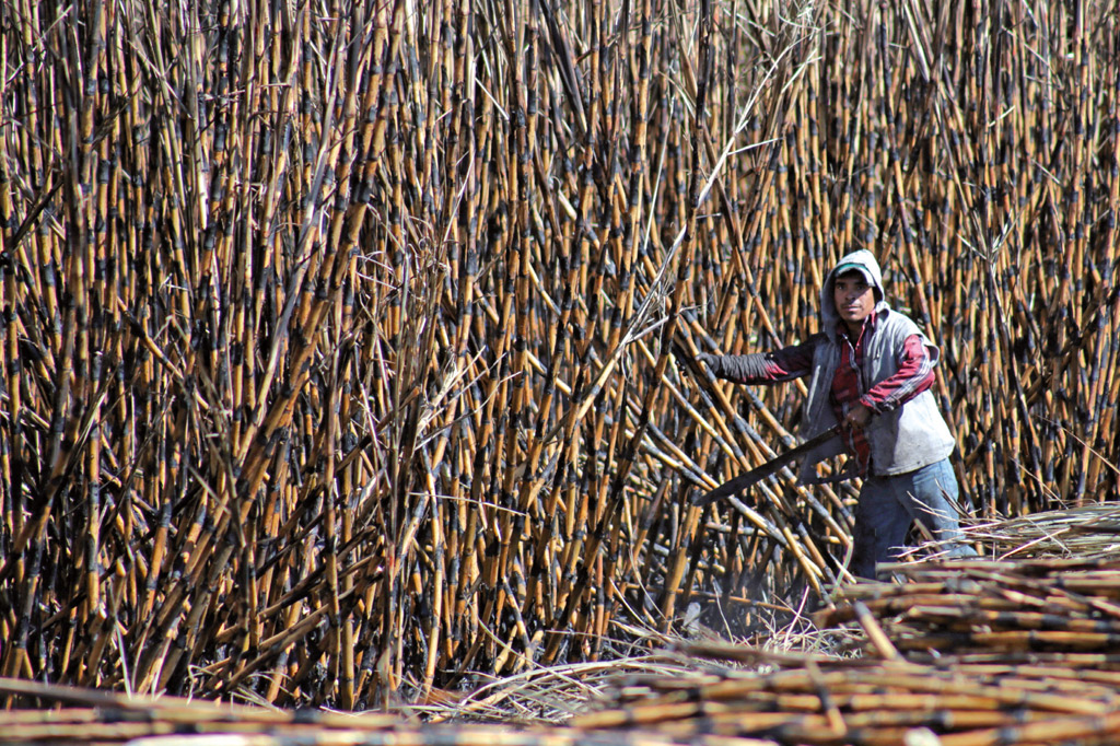 Centroamericanos, “esclavos” en plantaciones de México