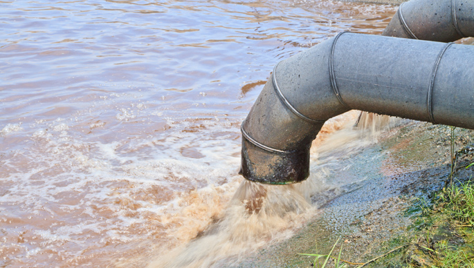 Vertidos al inodoro, canal contaminante de los mares