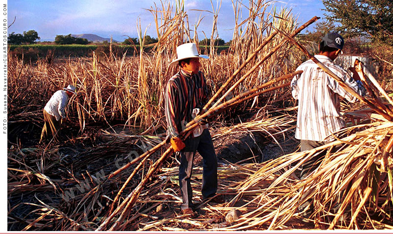 campesino