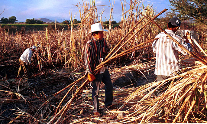 campesino