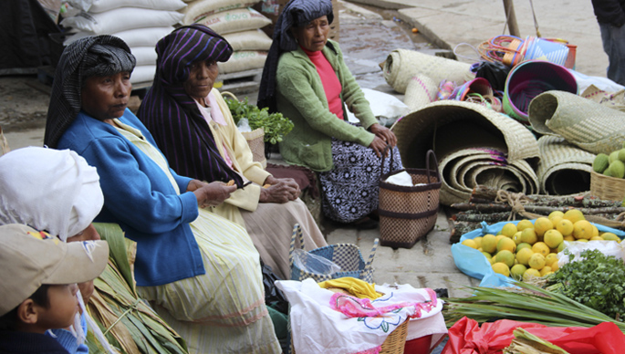 indigenas