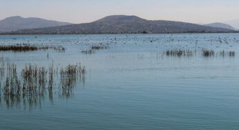 Recuperar el Lago