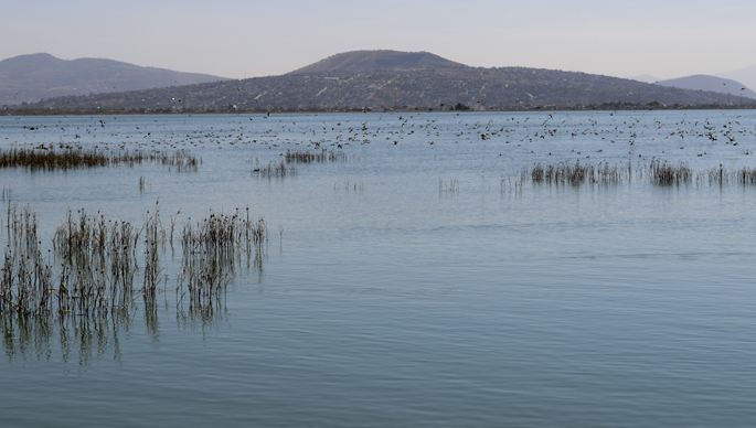 El lago vale mucho más que el aeropuerto