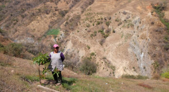 Fumigaciones antidrogas matan la Montaña de Guerrero