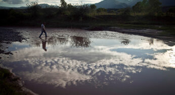 Buscan transparentar el Fideicomiso Río Sonora