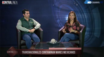 Video: Transnacionales contaminan mares mexicanos.