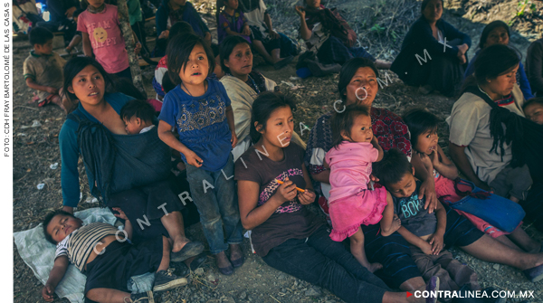 Destruyen campamentos de 238 familias tsotsiles desplazadas en Chiapas