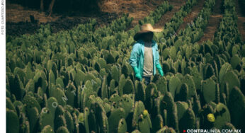 El diálogo entre las generaciones por las luchas del campo mexicano