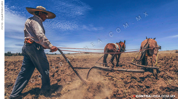 Direcciones generales de Aserca ganarán más que lo estipulado en PEF 2019