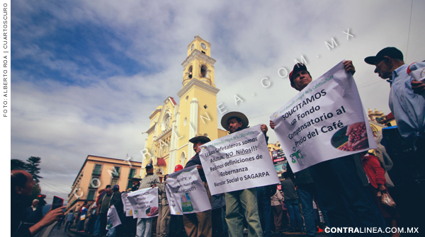 Irregularidades por 774 millones de pesos en el programa Procafé