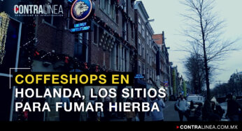 VIDEO: Coffeshops en Holanda, los sitios para fumar hierba