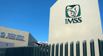 IMSS lanza prueba para afiliar a choferes de Uber, Didi, Beat, Rappi