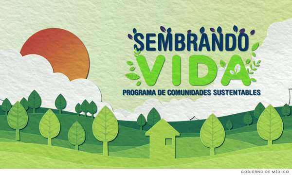 Programa federal Sembrando Vida