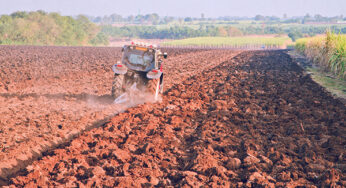 Producción alimentaria, nula para 2050 por sobre explotación de la naturaleza