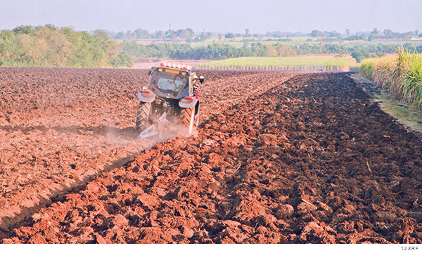 Producción alimentaria, nula para 2050 por sobre explotación de la naturaleza