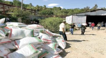 Habrá fertilizantes gratuitos en todo el país en 2023: AMLO