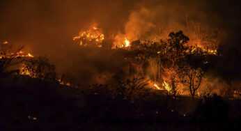 El Consejo Regional Wixárika exige a la Federación y al estado apoyo a las comunidades afectadas por incendio forestal