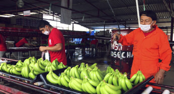 Comercio agropecuario México-China, a pesar de Estados Unidos