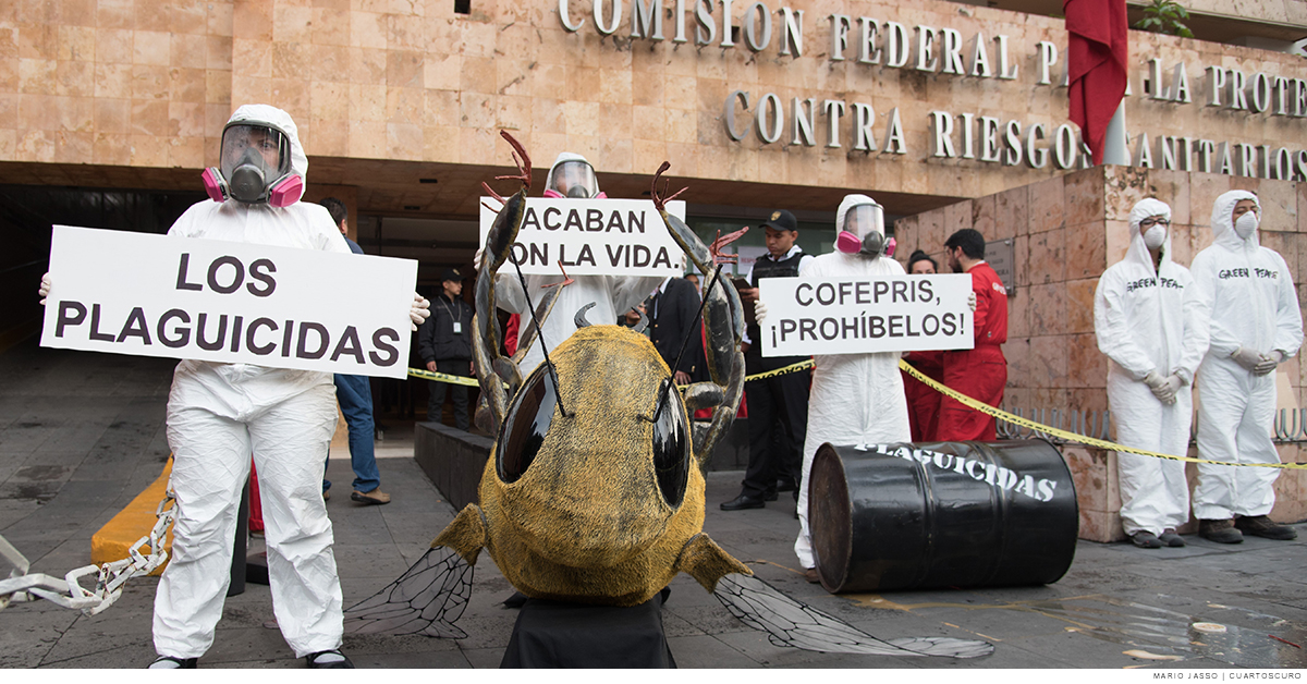 Intoxicación por plaguicidas aumentó desde la firma del TLCAN, 3 mil 500 personas al año