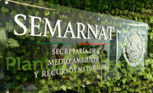 la SFP y la Semarnat serán las que deslinden responsabilidades y clarifiquen en qué fase del procedimiento se alteraron los documentos