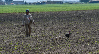 México: 69.5% de la población indígena sobrevive en la pobreza