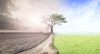 Cambio climático acrecienta daños a la salud: OMS