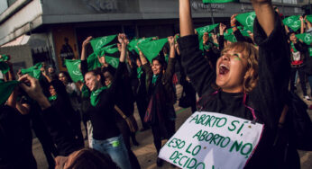 Autoridades deben analizar acusaciones abiertas por aborto: Conavim