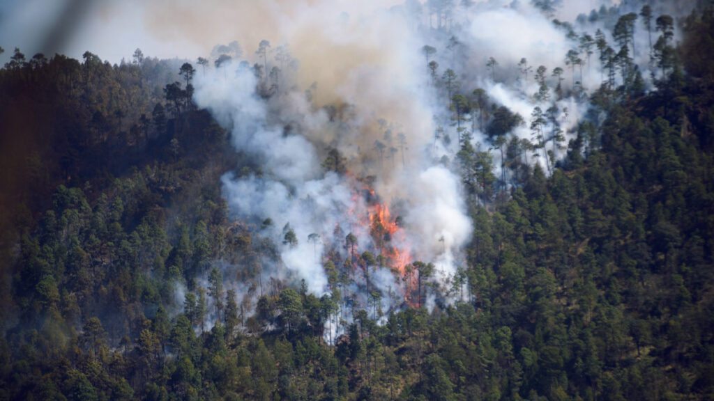 Imagen de un incendio producido por el cambio climatico