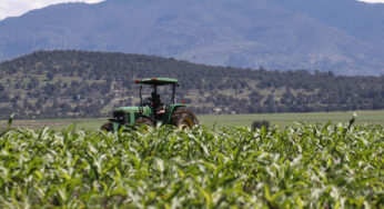 México, aún dependiente de la importación de alimentos